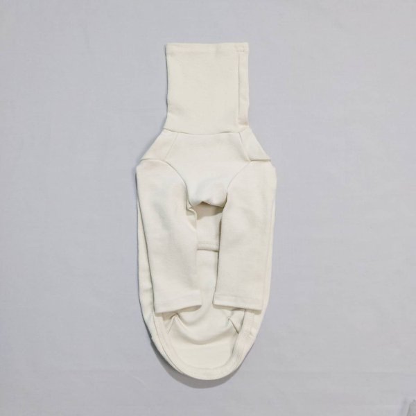 画像4: イタグレ服 S M L XL 2XL 3XL 10カラーTシャツ 小型犬 中型犬 大型犬 春 夏 秋 冬 doggystar ドッギースター 即日出荷出来ます (4)