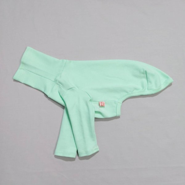 画像8: イタグレ服 S M L XL 2XL 3XL 10カラーTシャツ 小型犬 中型犬 大型犬 春 夏 秋 冬 doggystar ドッギースター 即日出荷出来ます (8)