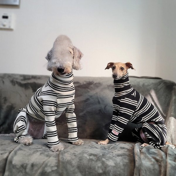 画像8: イタグレ服 セール S M L XL 2XL 3XL ボーダーロンパース つなぎ 小型犬 中型犬 大型犬 春夏服 秋冬服 doggystar ドッギースター 即日出荷出来ます (8)