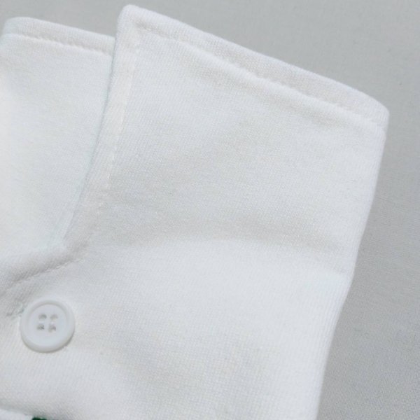 画像9: イタグレ服 S M L XL 2XL 3XL ポロシャツ ラガーシャツ 小型犬 中型犬 大型犬 春 秋 冬 犬服 doggystar ドッギースター 即日出荷出来ます (9)