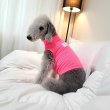 画像17: イタグレ服 S M L XL 小型犬 中型犬 夏服 doggystar クロップドトップス  (17)