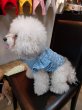 画像18: 犬服 ブラウス S M L XL 小型犬 中型犬 かわいい 袖 フリル レース バルーン   (18)