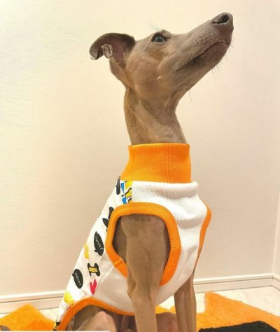 画像1: イタグレ服 セール S M L XL 2XL 3XL コミックTシャツ 小型犬 中型犬 大型犬 春 夏 秋 冬 doggystar ドッギースター 即日出荷出来ます　