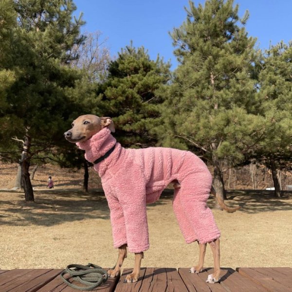 画像15: イタグレ服 S M L XL 2XL 3XL ボア フリース ロンパース つなぎ 小型犬 中型犬 大型犬 冬服 doggystar ドッギースター 即日発送出来ます (15)