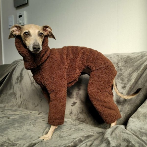 画像18: イタグレ服 S M L XL 2XL 3XL ボア フリース ロンパース つなぎ 小型犬 中型犬 大型犬 冬服 doggystar ドッギースター 即日発送出来ます (18)