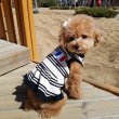 画像1: 犬服 おしゃれ  S M L XL 小型犬 中型犬 春夏秋冬 シンプル Vネック ボーダー ワンピース doggystar ドッギースター  即日出荷出来ます (1)