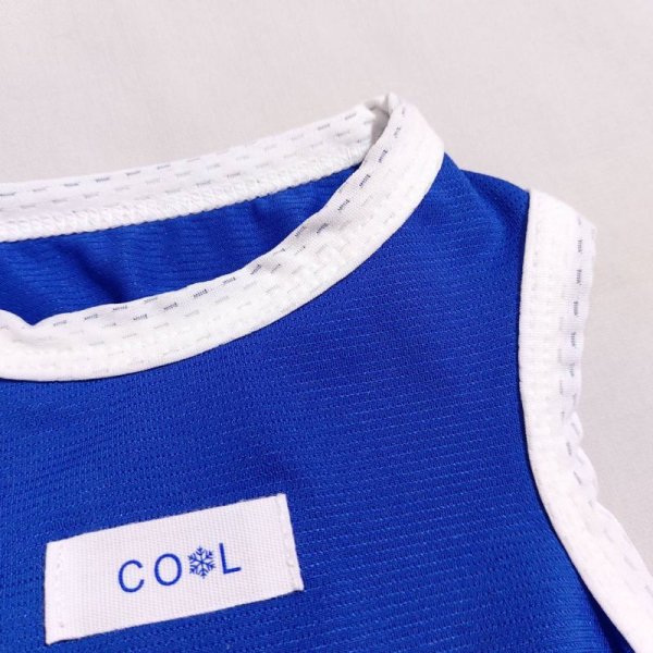 画像11: 大型 犬 服 接触 冷感 ひんやりクール ベスト スポーツ 5XL  大型 犬 熱中症対策 タンクトップ doggystar ドッギースター 即日出荷出来ます (11)