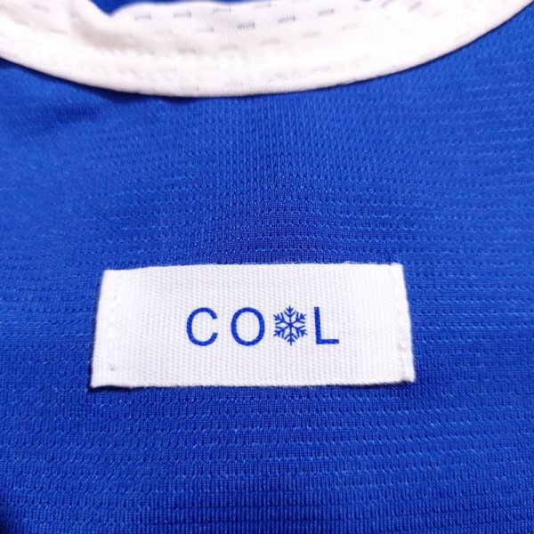 画像14: 大型 犬 服 接触 冷感 ひんやりクール ベスト スポーツ 5XL  大型 犬 熱中症対策 タンクトップ doggystar ドッギースター 即日出荷出来ます (14)