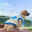 画像16: 犬 服 かわいい シンプル 袖なし もこもこ TシャツXS S M L XL  小型 犬 中型 犬ペットウェア 小型 犬 中型 犬 即日発送可能 (16)