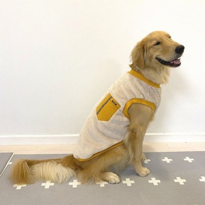 画像2: 犬 服 かわいい シンプル 袖なし もこもこTシャツ 4XL 秋 冬 物 ペットウェア  中型犬 大型犬 即日出荷可能