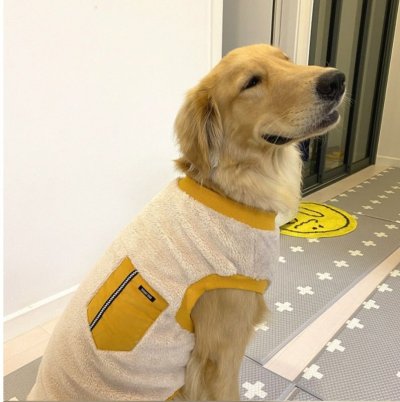 画像2: 大型 犬 服 かわいい シンプル 袖なし もこもこTシャツ 2XL 秋 冬 物 中型 犬 大型 犬 ペットウェア 中型犬大型犬 即日発送可能