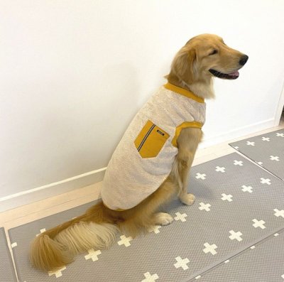画像2: 大型犬 服 かわいい シンプル 袖なし もこもこTシャツ 3XL 秋 冬 物 ペットウェア  中型 犬 大型 犬 即日発送可能