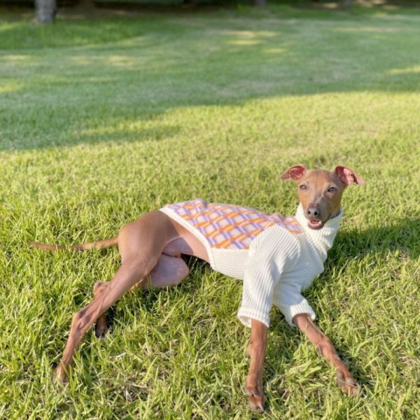 画像11: イタグレ服 セール S M L XL 2XL 3XL ダイヤ柄 裏起毛 長袖 Tシャツ 小型犬 中型犬 大型犬 冬服 doggystar ドッギースター 即日発送出来ます (11)