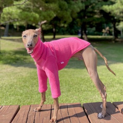 画像1: ベドリントンテリア服 セール 2XL 中型犬 大型犬 春 秋 冬 服 doggystar 起毛 長袖 Tシャツ  即日出荷出来ます