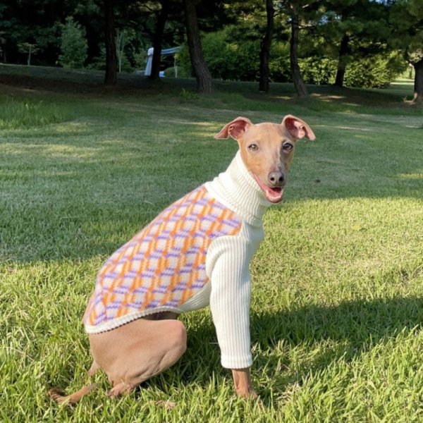 画像9: イタグレ服 セール S M L XL 2XL 3XL ダイヤ柄 裏起毛 長袖 Tシャツ 小型犬 中型犬 大型犬 冬服 doggystar ドッギースター 即日発送出来ます (9)