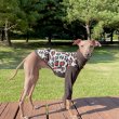 画像13: ベドリントンテリア服 2XL セール 中型犬 大型犬 冬服 doggystar ヒョウ柄 裏起毛 ニット 長袖 Tシャツ 即日出荷出来ます (13)