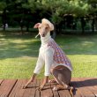 画像11: ベドリントンテリア服 2XL セール 中型犬 大型犬 冬服 doggystar ダイヤ柄 裏起毛 長袖 Tシャツ  即日出荷出来ます (11)