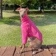 画像16: ベドリントンテリア服 セール 2XL 中型犬 大型犬 春 秋 冬 服 doggystar 起毛 長袖 Tシャツ  即日出荷出来ます (16)