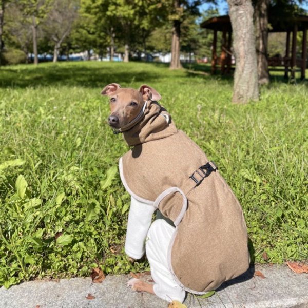 画像17: イタグレ 服 セール S M L XL 2XL 3XL 中綿軽量 バックル ダウン コート 小型犬 中型犬 大型犬 秋 冬服 イタリアングレーハウンド イタリアングレイハウンド 犬服 犬のコート doggystar ドッギースター 即日発送できます (17)