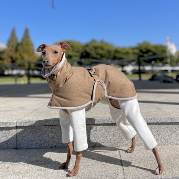 画像1: イタグレ 服 コート セール S M L XL 小型犬 中型犬 秋 冬服 doggystar 中綿軽量バックル ダウン イタリアングレーハウンドイタリアングレイハウンド 犬服 イタグレ 犬のコート 即日出荷できます (1)