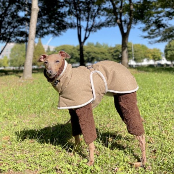 画像15: イタグレ 服 セール S M L XL 2XL 3XL 中綿軽量 バックル ダウン コート 小型犬 中型犬 大型犬 秋 冬服 イタリアングレーハウンド イタリアングレイハウンド 犬服 犬のコート doggystar ドッギースター 即日発送できます (15)