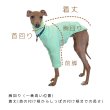 画像19: ウィペット服 3XL 中型犬 大型犬 doggy star 夏 接触冷感 クール ひんやり クロップド トップス (19)