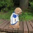 画像14: 犬服 かわいい Tシャツ もこもこ アウトドアスタイル フリース ジップアップ ベスト S M L XL 即日出荷出来ます doggystar ドッギースター (14)