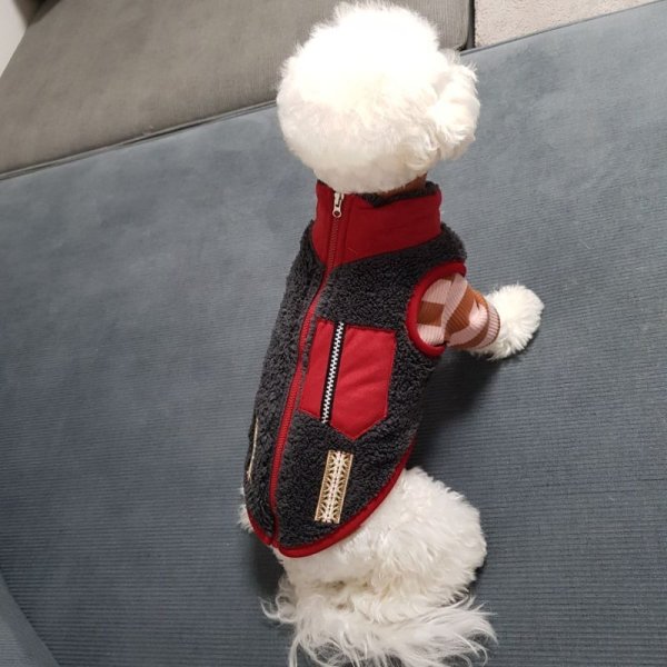 画像11: 犬服 セール かわいい Tシャツ もこもこ アウトドアスタイル フリース ジップアップ ベスト S M L XL doggystar ドッギースター即日発送出来ます (11)