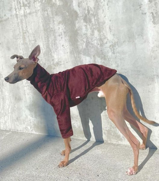 画像18: イタグレ服 セール S M L XL 2XL 3XL 起毛長袖Tシャツ 小型犬 中型犬 大型犬 春 秋 冬服 doggystar ドッギースター 即日発送出来ます (18)