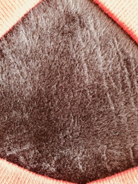 画像9: 犬 服 Tシャツ S M L XL セール 小型 犬 中型 犬 秋 冬  エンブレム柄 Vネック doggystar ドッギースター 即日発送できます (9)