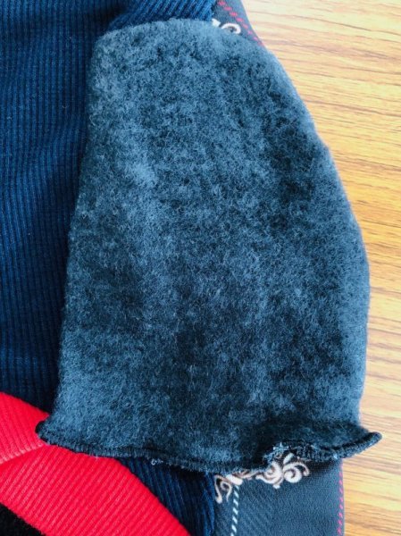 画像8: 犬 服 Tシャツ S M L XL セール 小型 犬 中型 犬 秋 冬  エンブレム柄 Vネック doggystar ドッギースター 即日発送出来ます (8)