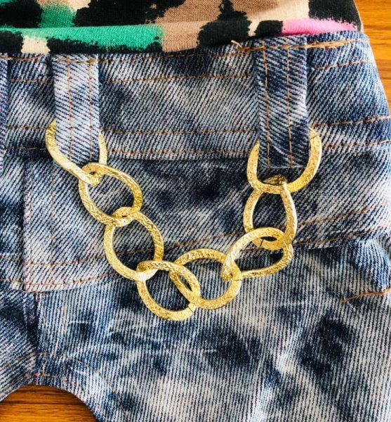 画像5: 犬 服 ロンパース  XS S M L XL 小型  犬中型 犬   ヒョウ柄 パーカー デニム つなぎ doggystar ドッギースター  即日 出荷出来ます (5)