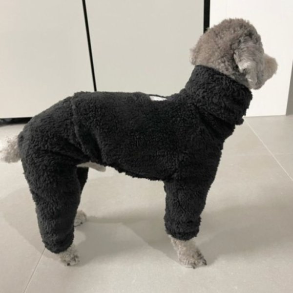 画像15: 犬 服 ロンパース S M L XL 小型犬 中型犬 冬服 ボア フリース  つなぎ doggystar ドッギースター 即日出荷出来ます (15)