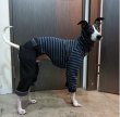 画像18: イタグレ服 S M L XL 小型犬 中型犬 春 秋 冬服 ボーダー doggystar 起毛ストライプデニム ロンパース つなぎ 即日発送できます。 (18)