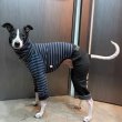 画像17: ベドリントンテリア服 2XL 中型犬 大型犬 春 秋 冬服 ボーダー doggystar 起毛ストライプデニム ロンパース つなぎ 即日発送できます。 (17)