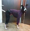 画像16: イタグレ服 S M L XL 小型犬 中型犬 春 秋 冬服 ボーダー doggystar 起毛ストライプデニム ロンパース つなぎ 即日発送できます。 (16)