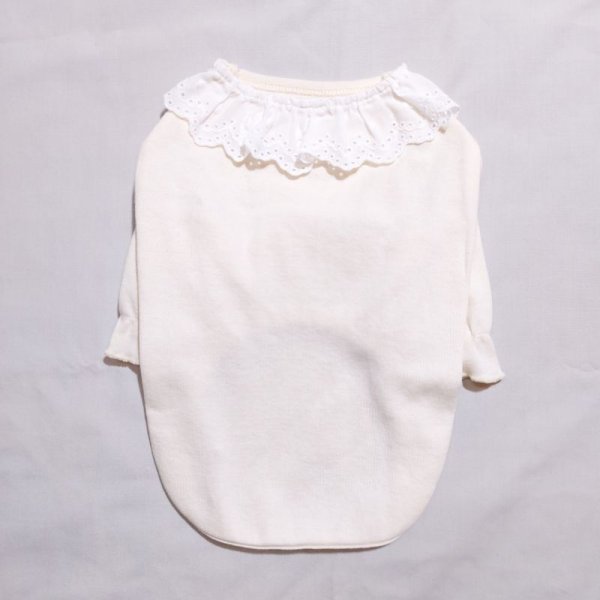 画像6: 犬服 Tシャツ レース 襟 長袖 可愛い シンプル 無地 小型犬 中型犬 春夏秋冬 S M L XL doggystar  ドッギースター 即日出荷できます (6)