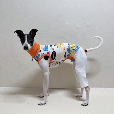 画像2: イタグレ服 S M L XL 小型犬 中型犬 春夏 doggystar コミックロンパース つなぎ 即日発送出来ます