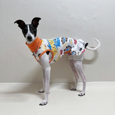 画像2: イタグレ服 S M L XL 小型犬 中型犬 春夏 doggystar コミック レギンス ワンピース 即日発送できます