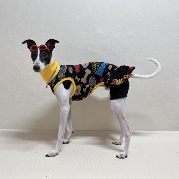 画像14: イタグレ服 S M L XL 2XL 3XL コミック レギンス ワンピース 小型犬 中型犬 大型犬 春夏 doggystar ドッギースター 即日発送できます (14)