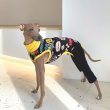 画像4: イタグレ服 S M L XL 小型犬 中型犬 春夏 doggystar コミックロンパース つなぎ 即日発送出来ます (4)