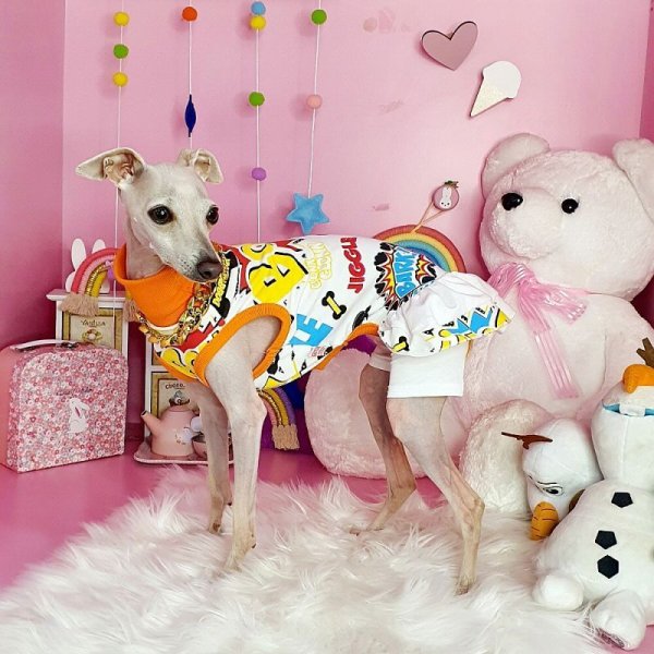 画像12: イタグレ服 S M L XL 2XL 3XL コミック レギンス ワンピース 小型犬 中型犬 大型犬 春夏 doggystar ドッギースター 即日発送できます (12)