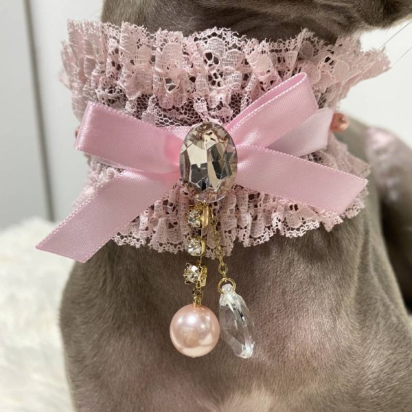 画像15: イタグレネックレス 小型犬 中型犬 春夏秋冬  レースチョーカー doggystar ドッギースター 即日発送できます (15)
