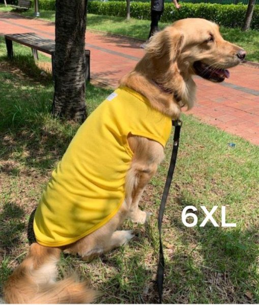 画像1: 大型 犬 服 6XL 中型犬 大型犬 夏 クール ベスト 接触 冷感 熱中症対策 即日 出荷できます (1)