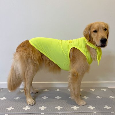 画像2: 犬服 接触 冷感 Tシャツ スマイル 無地 S M L XL 小型犬 中型犬 ひんやり クール ベスト スカーフ付き 熱中症対策 