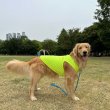 画像2: 大型 犬 服 4XL 大型犬 夏 ひんやり 服 スマイル クール ベスト 無地 接触 冷感 熱中症対策 即日発送出来ます。 (2)