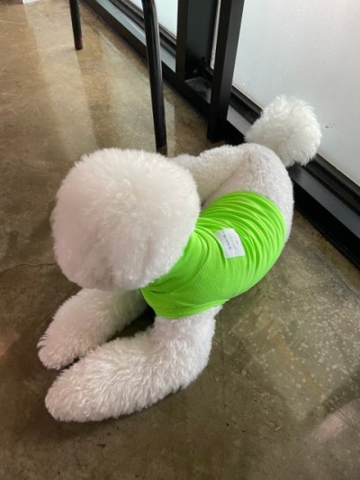 画像1: 犬服 メッシュ クロップドトップス Tシャツ S M L XL 小型犬 中型犬 夏 涼しい 熱中症対策 doggystar ドッギースター