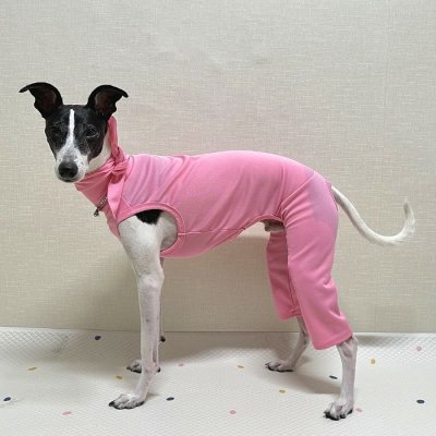 画像2: イタグレ服 S M L XL 小型犬 中型犬 春夏 doggystar スカーフ付 接触冷感 クール ロンパース つなぎ 即日発送