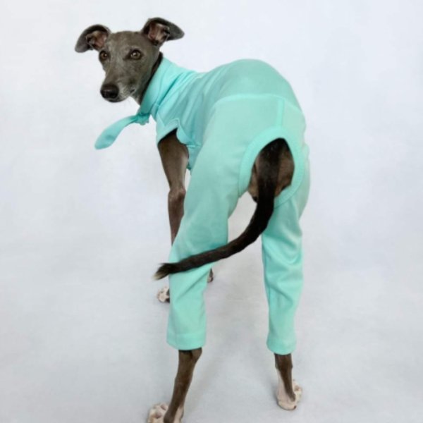 画像14: イタグレ服 S M L XL 2XL 3XL 接触冷感 クール ロンパース つなぎ 小型犬 中型犬 大型犬 春夏 doggystar ドッギースター 即日発送 (14)