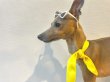 画像17: イタグレ服 S M L XL 小型犬 中型犬 春夏 doggystar スカーフ付 接触冷感 クール ロンパース つなぎ 即日発送 (17)